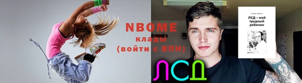 дмт Алзамай